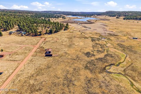 Photo of 34 County Road 2100, Alpine, AZ 85920 (MLS # 260440)