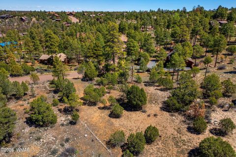 Photo of 2795 Skyhawk Drive, Overgaard, AZ 85933 (MLS # 260672)