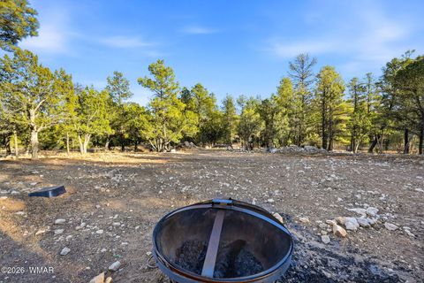 Tiny photo for 2225 Roundabout Way, Overgaard, AZ 85933 (MLS # 259438)