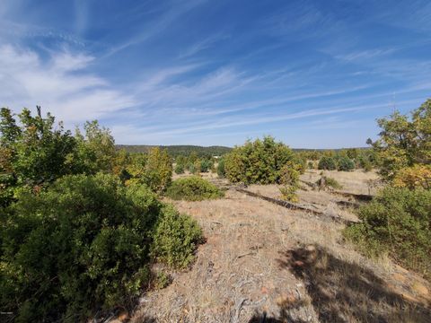 Photo of TBD White Cloud Lane, Pinedale, AZ 85934 (MLS # 254902)