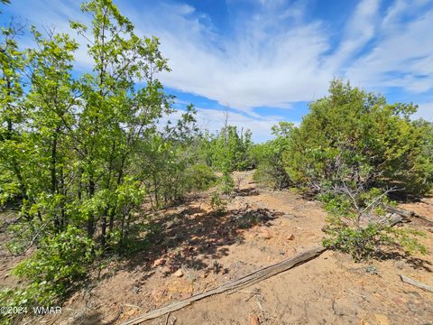 Tiny photo for TBD White Cloud Lane, Pinedale, AZ 85934 (MLS # 254902)