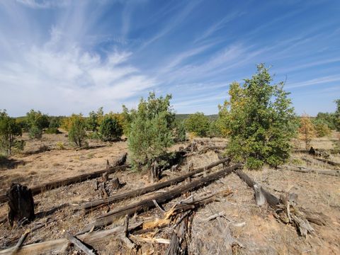 Tiny photo for TBD White Cloud Lane, Pinedale, AZ 85934 (MLS # 254902)