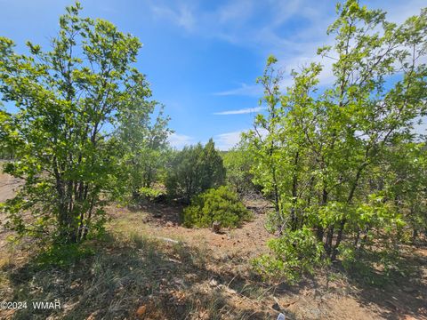 Tiny photo for TBD White Cloud Lane, Pinedale, AZ 85934 (MLS # 254902)
