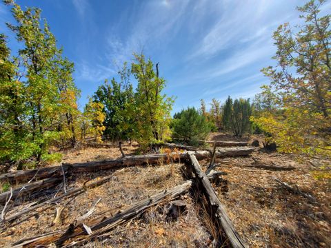 Tiny photo for TBD White Cloud Lane, Pinedale, AZ 85934 (MLS # 254902)