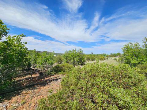 Tiny photo for TBD White Cloud Lane, Pinedale, AZ 85934 (MLS # 254902)