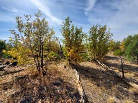 Tiny photo for TBD White Cloud Lane, Pinedale, AZ 85934 (MLS # 254902)