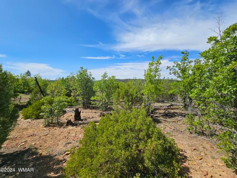 Tiny photo for TBD White Cloud Lane, Pinedale, AZ 85934 (MLS # 254902)