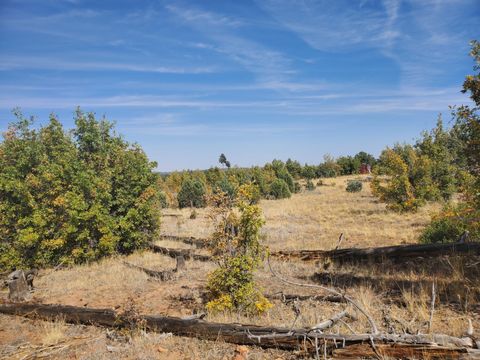 Tiny photo for TBD White Cloud Lane, Pinedale, AZ 85934 (MLS # 254902)