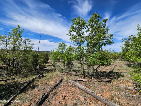 Tiny photo for TBD White Cloud Lane, Pinedale, AZ 85934 (MLS # 254902)