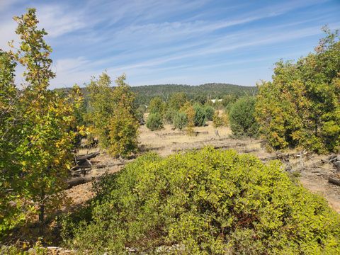 Tiny photo for TBD White Cloud Lane, Pinedale, AZ 85934 (MLS # 254902)