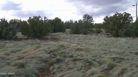 Tiny photo for 24 County Road 8009, Concho, AZ 85924 (MLS # 251220)