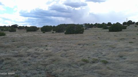Tiny photo for 24 County Road 8009, Concho, AZ 85924 (MLS # 251220)