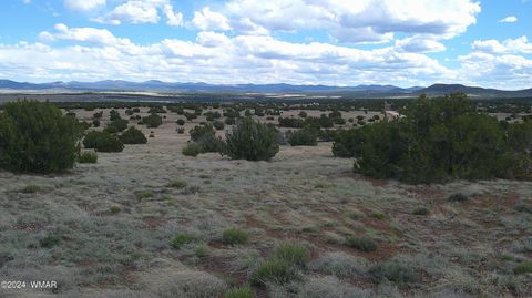 Photo of 24 County Road 8009, Concho, AZ 85924 (MLS # 251220)