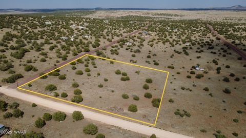 Tiny photo for 24 County Road 8009, Concho, AZ 85924 (MLS # 251220)
