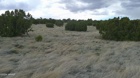 Tiny photo for 24 County Road 8009, Concho, AZ 85924 (MLS # 251220)