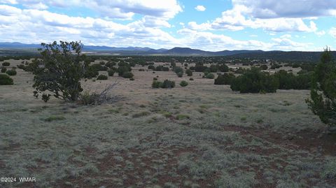 Tiny photo for 24 County Road 8009, Concho, AZ 85924 (MLS # 251220)