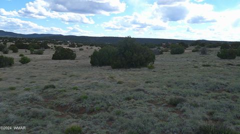 Tiny photo for 24 County Road 8009, Concho, AZ 85924 (MLS # 251220)