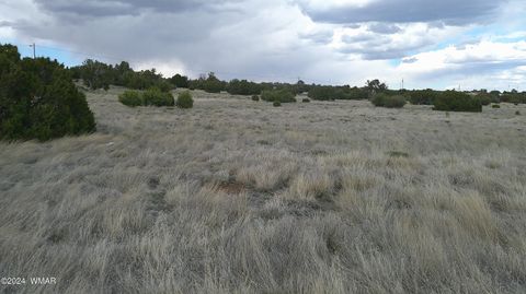 Tiny photo for 24 County Road 8009, Concho, AZ 85924 (MLS # 251220)