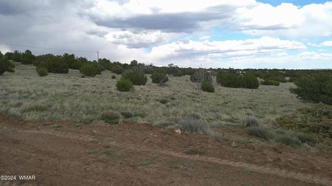 Tiny photo for 24 County Road 8009, Concho, AZ 85924 (MLS # 251220)