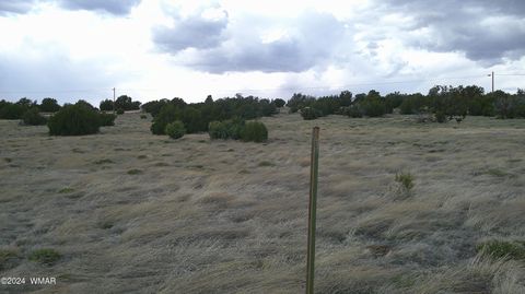Tiny photo for 24 County Road 8009, Concho, AZ 85924 (MLS # 251220)