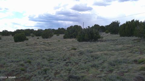 Tiny photo for 24 County Road 8009, Concho, AZ 85924 (MLS # 251220)