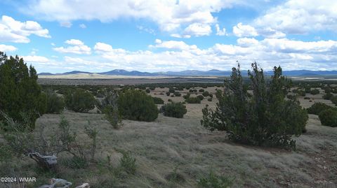 Tiny photo for 24 County Road 8009, Concho, AZ 85924 (MLS # 251220)