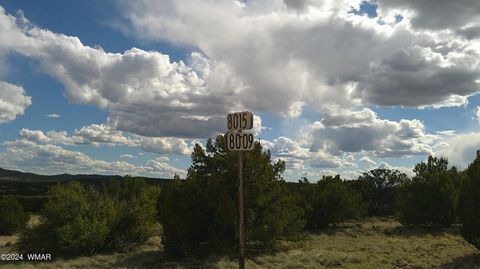 Tiny photo for 24 County Road 8009, Concho, AZ 85924 (MLS # 251220)