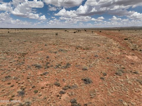 Tiny photo for TBD Parcel # 201-34-002, Snowflake, AZ 85937 (MLS # 260258)