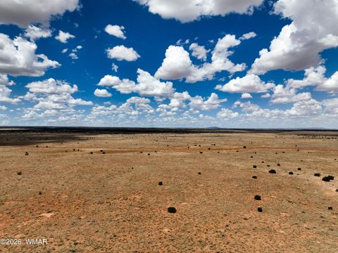 Tiny photo for TBD Parcel # 201-34-002, Snowflake, AZ 85937 (MLS # 260258)