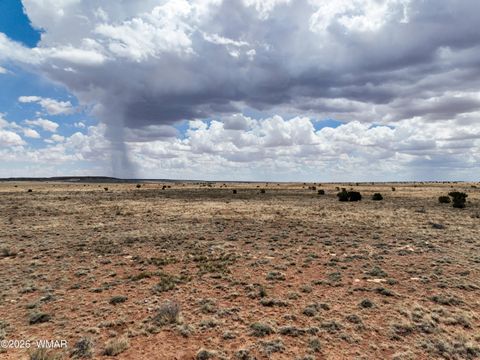 Tiny photo for TBD Parcel # 201-34-002, Snowflake, AZ 85937 (MLS # 260258)