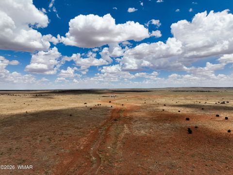 Tiny photo for TBD Parcel # 201-34-002, Snowflake, AZ 85937 (MLS # 260258)