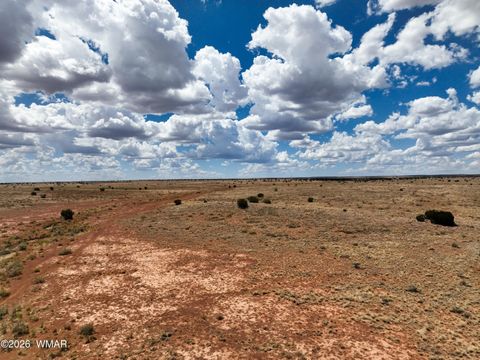 Photo of TBD Parcel # 201-34-002, Snowflake, AZ 85937 (MLS # 260258)