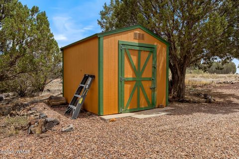 Tiny photo for 8469 Cannon Boulevard, Show Low, AZ 85901 (MLS # 261402)