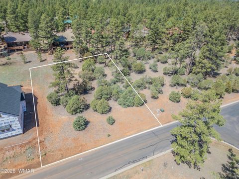 Photo of 1260 S Lakeside Trail, Show Low, AZ 85901 (MLS # 260480)