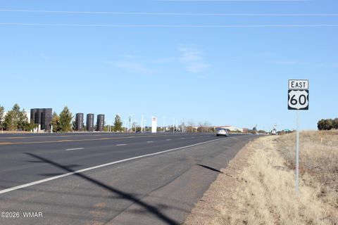 Tiny photo for TBD E Duece of Clubs, Show Low, AZ 85901 (MLS # 259264)