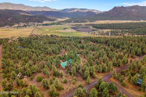 Tiny photo for 20 Co Rd 2018, Nutrioso, AZ 85932 (MLS # 256714)