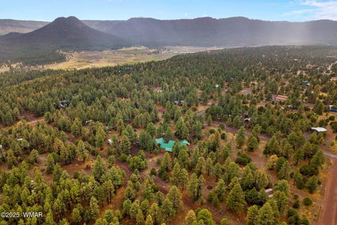Tiny photo for 20 Co Rd 2018, Nutrioso, AZ 85932 (MLS # 256714)