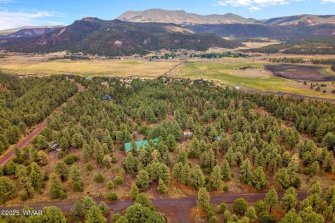 Tiny photo for 20 Co Rd 2018, Nutrioso, AZ 85932 (MLS # 256714)