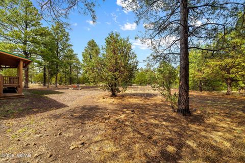 Tiny photo for 20 Co Rd 2018, Nutrioso, AZ 85932 (MLS # 256714)