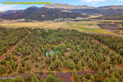 Tiny photo for 20 Co Rd 2018, Nutrioso, AZ 85932 (MLS # 256714)