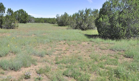 Tiny photo for 9184C Chimisa Ranch Rd RD, Show Low, AZ 85901 (MLS # 263076)