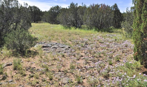Tiny photo for 9184C Chimisa Ranch Rd RD, Show Low, AZ 85901 (MLS # 263076)