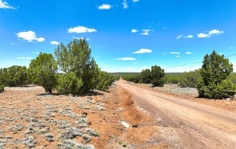 Tiny photo for 9184C Chimisa Ranch Rd RD, Show Low, AZ 85901 (MLS # 263076)