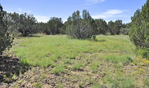 Tiny photo for 9184C Chimisa Ranch Rd RD, Show Low, AZ 85901 (MLS # 263076)
