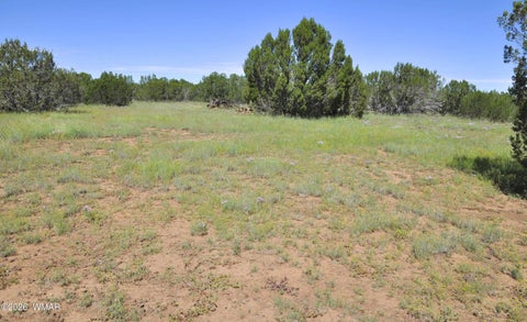 Tiny photo for 9184C Chimisa Ranch Rd RD, Show Low, AZ 85901 (MLS # 263076)