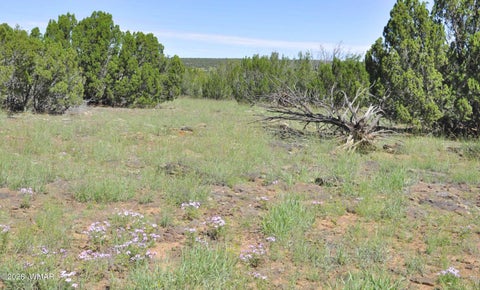 Tiny photo for 9184C Chimisa Ranch Rd RD, Show Low, AZ 85901 (MLS # 263076)