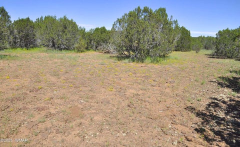Tiny photo for 9184C Chimisa Ranch Rd RD, Show Low, AZ 85901 (MLS # 263076)
