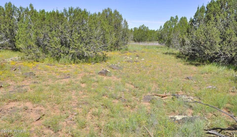 Tiny photo for 9184C Chimisa Ranch Rd RD, Show Low, AZ 85901 (MLS # 263076)