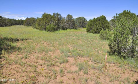 Tiny photo for 9184C Chimisa Ranch Rd RD, Show Low, AZ 85901 (MLS # 263076)
