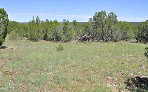 Tiny photo for 9184C Chimisa Ranch Rd RD, Show Low, AZ 85901 (MLS # 263076)